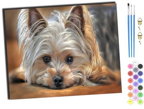 WANGXIAO Malen nach Zahlen Erwachsene,DIY Bastelset Handgemalt Ölgemälde Geschen Kit Mit 3,Pinseln und Acrylfarbe knitterfreie leinwand Kit,40x50 cm,Tier Hund Einsam,mit Rahmen WANGXIAO Malen nach Zahlen Erwachsene,DIY Bastelset Handgemalt Ölgemälde Geschen Kit Mit 3,Pinseln und Acrylfarbe knitterfreie leinwand Kit,40x50 cm,Tier Hund Einsam,mit Rahmen von WANGXIAO
