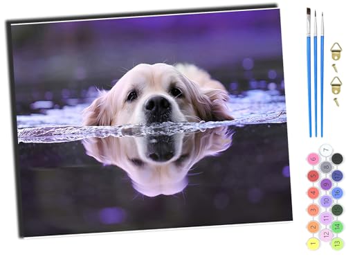 WANGXIAO Malen nach Zahlen Erwachsene,DIY Bastelset Handgemalt Ölgemälde Geschen Kit Mit 3,Pinseln und Acrylfarbe knitterfreie leinwand Kit,40x50 cm,Tier Hund schwimmen,mit Rahmen von WANGXIAO