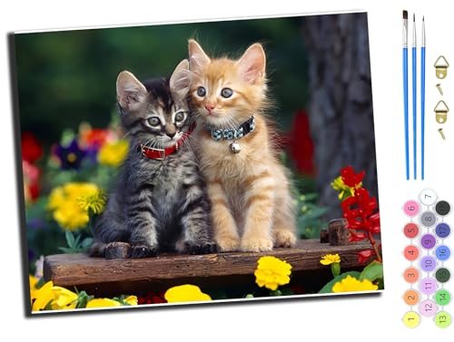WANGXIAO Malen nach Zahlen Erwachsene,DIY Bastelset Handgemalt Ölgemälde Geschen Kit Mit 3,Pinseln und Acrylfarbe knitterfreie leinwand Kit,40x50 cm,Tier Katze zwei,mit Rahmen WANGXIAO Malen nach Zahlen Erwachsene,DIY Bastelset Handgemalt Ölgemälde Geschen Kit Mit 3,Pinseln und Acrylfarbe knitterfreie leinwand Kit,40x50 cm,Tier Katze zwei,mit Rahmen von WANGXIAO