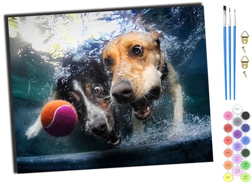 WANGXIAO Malen nach Zahlen Erwachsene,DIY Bastelset Handgemalt Ölgemälde Geschen Kit Mit 3,Pinseln und Acrylfarbe knitterfreie leinwand Kit,40x50 cm,Wassertier Hund,ohne Rahmen von WANGXIAO