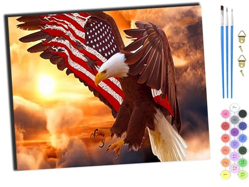 WANGXIAO Malen nach Zahlen Erwachsene,DIY Bastelset Handgemalt Ölgemälde Geschen Kit Mit 3,Pinseln und Acrylfarbe knitterfreie leinwand Kit,40x50 cm,Weißkopfseeadler-Flagge,ohne Rahmen von WANGXIAO