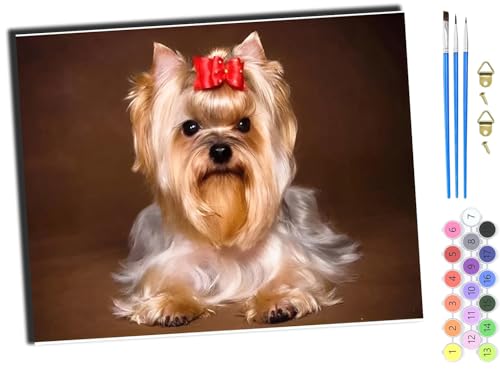 WANGXIAO Malen nach Zahlen Erwachsene,DIY Bastelset Handgemalt Ölgemälde Kit Mit 3,Pinseln und Acrylfarbe leinwand Kit,Geschenkideen,40x50 cm,Tier Hund Haustier,mit Rahmen von WANGXIAO