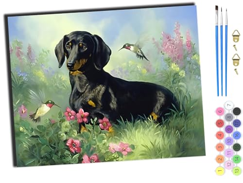 WANGXIAO Malen nach Zahlen Erwachsene,DIY Bastelset Handgemalt Ölgemälde Kit Mit 3,Pinseln und Acrylfarbe leinwand Kit,Geschenkideen,40x50 cm,Tiere Hund und Vogel,mit Rahmen von WANGXIAO