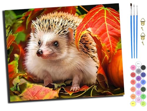 WANGXIAO Malen nach Zahlen Erwachsene,DIY Bastelset Handgemalt Ölgemälde Kit Mit 3,Pinseln und Acrylfarbe leinwand Kit,Geschenkideen,40x50 cm,Tierischer Igel,mit Rahmen von WANGXIAO