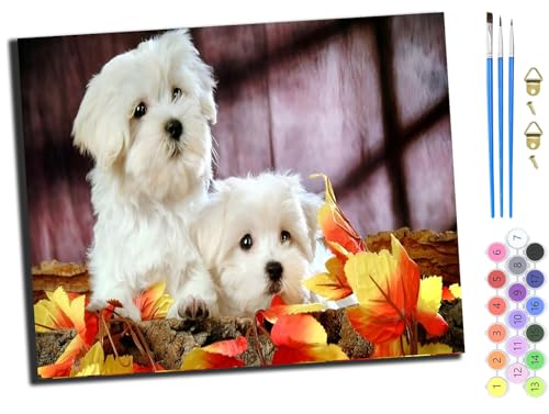 WANGXIAO Malen nach Zahlen Erwachsene,DIY Bastelset Handgemalt Ölgemälde Kit Mit 3,Pinseln und Acrylfarbe leinwand Kit,Geschenkideen,40x50 cm,Weißer Hund,ohne Rahmen von WANGXIAO