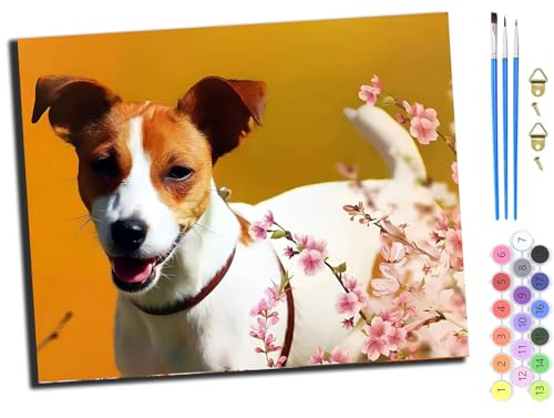 WANGXIAO Malen nach Zahlen Erwachsene,DIY Bastelset Handgemalt Ölgemälde Kit Mit 3,Pinseln und Acrylfarbe leinwand Kit,Geschenkideen,40x50 cm,jack russell terrier tier haustier hund,mit Rahmen von WANGXIAO