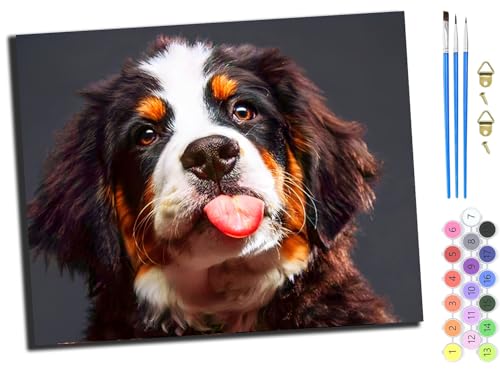 WANGXIAO Malen nach Zahlen Erwachsene,DIY Bastelset Handgemalt Ölgemälde Kit Mit 3,Pinseln und Acrylfarbe leinwand Kit,Geschenkideen,40x50 cm,tier saint berner sennenhund haustier hund,mit Rahmen WANGXIAO Malen nach Zahlen Erwachsene,DIY Bastelset Handgemalt Ölgemälde Kit Mit 3,Pinseln und Acrylfarbe leinwand Kit,Geschenkideen,40x50 cm,tier saint berner sennenhund haustier hund,mit Rahmen von WANGXIAO