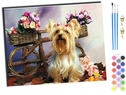WANGXIAO Malen nach Zahlen Erwachsene,DIY Handgemalt Ölgemälde Kit,40x50 cm,Paint by Numbers Adult Mit 3,Pinseln und Acrylfarbe leinwand Kit,Hund Tier,ohne Rahmen von WANGXIAO