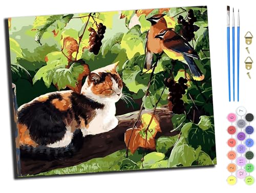 WANGXIAO Malen nach Zahlen Erwachsene,DIY Handgemalt Ölgemälde Kit,40x50 cm,Paint by Numbers Adult Mit 3,Pinseln und Acrylfarbe leinwand Kit,Katze und zwei Vögel auf dem Baum,ohne Rahmen von WANGXIAO