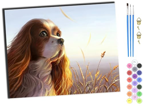 WANGXIAO Malen nach Zahlen Erwachsene,DIY Handgemalt Ölgemälde Kit,40x50 cm,Paint by Numbers Adult Mit 3,Pinseln und Acrylfarbe leinwand Kit,Tier Hund süß,mit Rahmen von WANGXIAO