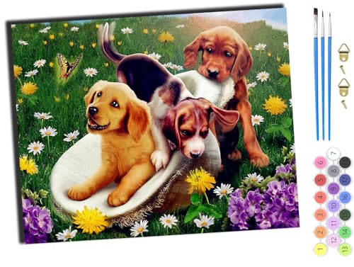WANGXIAO Malen nach Zahlen Erwachsene,DIY Handgemalt Ölgemälde Kit,40x50 cm,Paint by Numbers Adult Mit 3,Pinseln und Acrylfarbe leinwand Kit,Tiere Hund Blumen Interessant,mit Rahmen WANGXIAO Malen nach Zahlen Erwachsene,DIY Handgemalt Ölgemälde Kit,40x50 cm,Paint by Numbers Adult Mit 3,Pinseln und Acrylfarbe leinwand Kit,Tiere Hund Blumen Interessant,mit Rahmen von WANGXIAO