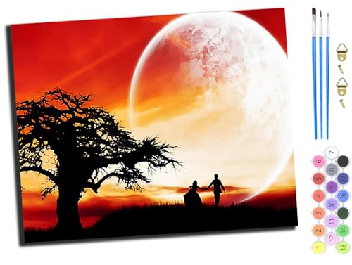 WANGXIAO Malen nach Zahlen Erwachsene,DIY Handgemalt Ölgemälde Kit,40x50 cm,Paint by Numbers Adult Mit 3,Pinseln und Acrylfarbe leinwand Kit,romantisches Paar bei Sonnenuntergang,mit Rahmen WANGXIAO Malen nach Zahlen Erwachsene,DIY Handgemalt Ölgemälde Kit,40x50 cm,Paint by Numbers Adult Mit 3,Pinseln und Acrylfarbe leinwand Kit,romantisches Paar bei Sonnenuntergang,mit Rahmen von WANGXIAO