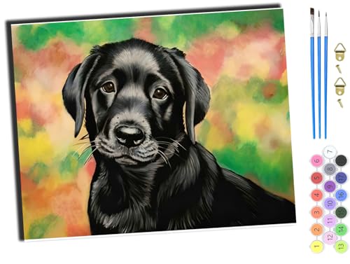 WANGXIAO Malen nach Zahlen Erwachsene,DIY Handgemalt Ölgemälde Kit,40x50 cm,Paint by Numbers Adult Mit 3,Pinseln und Acrylfarbe leinwand Kit,schwarz tier hund einsam,mit Rahmen von WANGXIAO