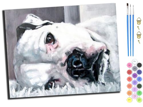 WANGXIAO Malen nach Zahlen Erwachsene,DIY Handgemalt Ölgemälde Kit,Paint by Numbers Adult Mit 3,Pinseln und Acrylfarbe leinwand Kit,40x50 cm,Bulldogge,ohne Rahmen WANGXIAO Malen nach Zahlen Erwachsene,DIY Handgemalt Ölgemälde Kit,Paint by Numbers Adult Mit 3,Pinseln und Acrylfarbe leinwand Kit,40x50 cm,Bulldogge,ohne Rahmen von WANGXIAO
