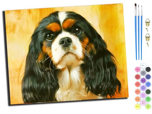 WANGXIAO Malen nach Zahlen Erwachsene,DIY Handgemalt Ölgemälde Kit,Paint by Numbers Adult Mit 3,Pinseln und Acrylfarbe leinwand Kit,40x50 cm,Cavalier King Charles Spaniel,ohne Rahmen WANGXIAO Malen nach Zahlen Erwachsene,DIY Handgemalt Ölgemälde Kit,Paint by Numbers Adult Mit 3,Pinseln und Acrylfarbe leinwand Kit,40x50 cm,Cavalier King Charles Spaniel,ohne Rahmen von WANGXIAO