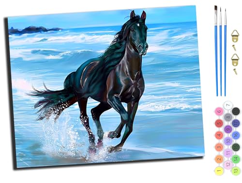 WANGXIAO Malen nach Zahlen Erwachsene,DIY Handgemalt Ölgemälde Kit,Paint by Numbers Adult Mit 3,Pinseln und Acrylfarbe leinwand Kit,40x50 cm,Pferd läuft am Strand,mit Rahmen WANGXIAO Malen nach Zahlen Erwachsene,DIY Handgemalt Ölgemälde Kit,Paint by Numbers Adult Mit 3,Pinseln und Acrylfarbe leinwand Kit,40x50 cm,Pferd läuft am Strand,mit Rahmen von WANGXIAO