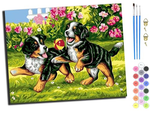 WANGXIAO Malen nach Zahlen Erwachsene,DIY Handgemalt Ölgemälde Kit,Paint by Numbers Adult Mit 3,Pinseln und Acrylfarbe leinwand Kit,40x50 cm,Spielender Haustierhund,ohne Rahmen von WANGXIAO