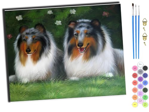 WANGXIAO Malen nach Zahlen Erwachsene,DIY Handgemalt Ölgemälde Kit,Paint by Numbers Adult Mit 3,Pinseln und Acrylfarbe leinwand Kit,40x50 cm,Tier Hund Löwenzahn,mit Rahmen von WANGXIAO