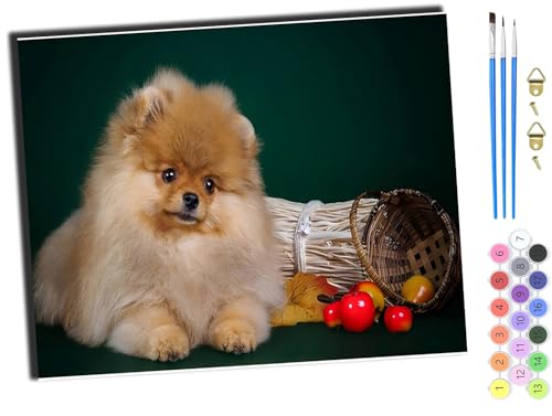 WANGXIAO Malen nach Zahlen Erwachsene,DIY Handgemalt Ölgemälde Kit,Paint by Numbers Adult Mit 3,Pinseln und Acrylfarbe leinwand Kit,40x50 cm,Tier Hund Obst,mit Rahmen WANGXIAO Malen nach Zahlen Erwachsene,DIY Handgemalt Ölgemälde Kit,Paint by Numbers Adult Mit 3,Pinseln und Acrylfarbe leinwand Kit,40x50 cm,Tier Hund Obst,mit Rahmen von WANGXIAO