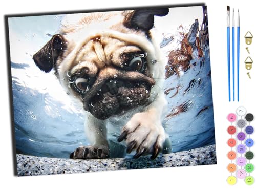 WANGXIAO Malen nach Zahlen Erwachsene,DIY Handgemalt Ölgemälde Kit,Paint by Numbers Adult Mit 3,Pinseln und Acrylfarbe leinwand Kit,40x50 cm,Tierhund spielt im Wasser,mit Rahmen WANGXIAO Malen nach Zahlen Erwachsene,DIY Handgemalt Ölgemälde Kit,Paint by Numbers Adult Mit 3,Pinseln und Acrylfarbe leinwand Kit,40x50 cm,Tierhund spielt im Wasser,mit Rahmen von WANGXIAO