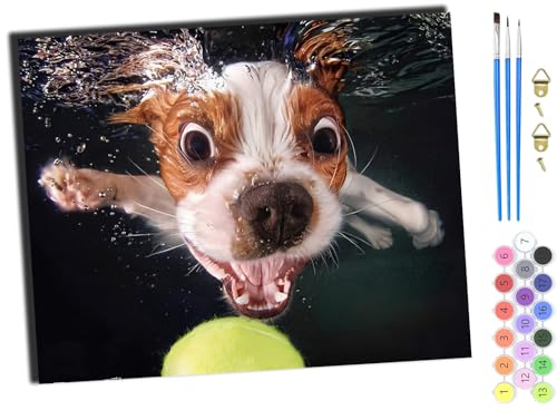 WANGXIAO Malen nach Zahlen Erwachsene,DIY Handgemalt Ölgemälde Kit,Paint by Numbers Adult Mit 3,Pinseln und Acrylfarbe leinwand Kit,40x50 cm,Tierischer Hund im Wasserspaß,mit Rahmen WANGXIAO Malen nach Zahlen Erwachsene,DIY Handgemalt Ölgemälde Kit,Paint by Numbers Adult Mit 3,Pinseln und Acrylfarbe leinwand Kit,40x50 cm,Tierischer Hund im Wasserspaß,mit Rahmen von WANGXIAO