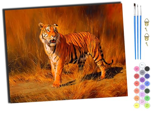 WANGXIAO Malen nach Zahlen Erwachsene,DIY Handgemalt Ölgemälde Kit,Paint by Numbers Adult Mit 3,Pinseln und Acrylfarbe leinwand Kit,40x50 cm,Tiertiger,mit Rahmen von WANGXIAO