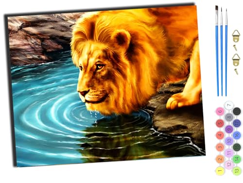 WANGXIAO Malen nach Zahlen Erwachsene,DIY Handgemalt Ölgemälde Kit,Paint by Numbers Adult Mit 3,Pinseln und Acrylfarbe leinwand Kit,40x50 cm,löwe wildes tier wasser,ohne Rahmen WANGXIAO Malen nach Zahlen Erwachsene,DIY Handgemalt Ölgemälde Kit,Paint by Numbers Adult Mit 3,Pinseln und Acrylfarbe leinwand Kit,40x50 cm,löwe wildes tier wasser,ohne Rahmen von WANGXIAO
