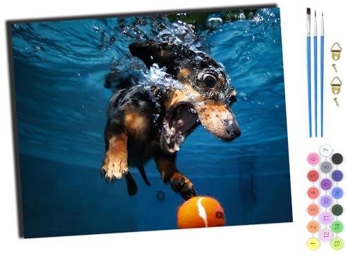 WANGXIAO Malen nach Zahlen Erwachsene,DIY Handgemalt Ölgemälde Kit,Paint by Numbers Adult Mit 3,Pinseln und Acrylfarbe leinwand Kit,40x50 cm,schwarzer Tierhund auf dem Wasser,mit Rahmen WANGXIAO Malen nach Zahlen Erwachsene,DIY Handgemalt Ölgemälde Kit,Paint by Numbers Adult Mit 3,Pinseln und Acrylfarbe leinwand Kit,40x50 cm,schwarzer Tierhund auf dem Wasser,mit Rahmen von WANGXIAO