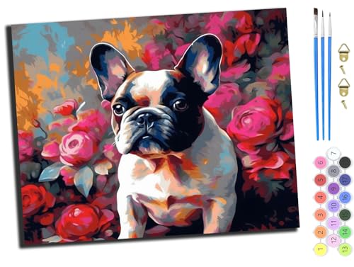 WANGXIAO Malen nach Zahlen Erwachsene,Paint by Numbers,DIY Handgemalt Ölgemälde Mit 3,Pinseln und Acrylfarbe knitterfreie leinwand Kit,40x50 cm,Aquarell Hund Französische Bulldogge Rosen,mit Rahmen WANGXIAO Malen nach Zahlen Erwachsene,Paint by Numbers,DIY Handgemalt Ölgemälde Mit 3,Pinseln und Acrylfarbe knitterfreie leinwand Kit,40x50 cm,Aquarell Hund Französische Bulldogge Rosen,mit Rahmen von WANGXIAO