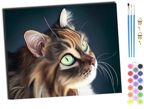 WANGXIAO Malen nach Zahlen Erwachsene,Paint by Numbers,DIY Handgemalt Ölgemälde Mit 3,Pinseln und Acrylfarbe knitterfreie leinwand Kit,40x50 cm,Tier Katze lustig,mit Rahmen WANGXIAO Malen nach Zahlen Erwachsene,Paint by Numbers,DIY Handgemalt Ölgemälde Mit 3,Pinseln und Acrylfarbe knitterfreie leinwand Kit,40x50 cm,Tier Katze lustig,mit Rahmen von WANGXIAO