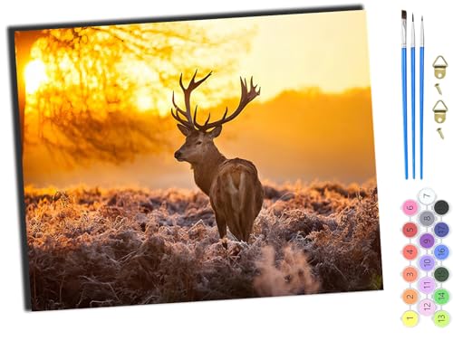 WANGXIAO Malen nach Zahlen Erwachsene,happy Painting Kits,Bastelset Leinwand Pinsel,Handgemalt Ölgemälde 40x50cm,einsames Tier Hirsch,ohne Rahmen WANGXIAO Malen nach Zahlen Erwachsene,happy Painting Kits,Bastelset Leinwand Pinsel,Handgemalt Ölgemälde 40x50cm,einsames Tier Hirsch,ohne Rahmen von WANGXIAO