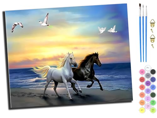 WANGXIAO Malen nach Zahlen Erwachsene,happy Painting Kits,Bastelset Leinwand Pinsel,Handgemalt Ölgemälde Kinder 40x50cm,Strandpferd rennendes Tier,mit Rahmen WANGXIAO Malen nach Zahlen Erwachsene,happy Painting Kits,Bastelset Leinwand Pinsel,Handgemalt Ölgemälde Kinder 40x50cm,Strandpferd rennendes Tier,mit Rahmen von WANGXIAO