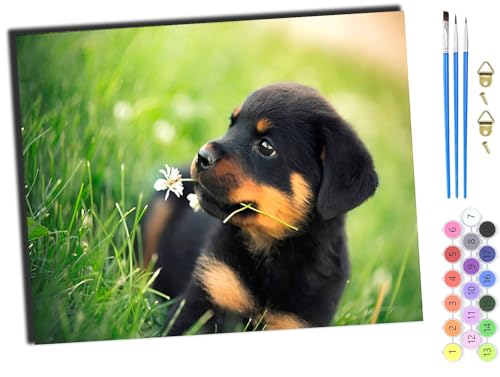 WANGXIAO Malen nach Zahlen Erwachsene,happy Painting Kits,Bastelset Leinwand Pinsel,Handgemalt Ölgemälde Kinder 40x50cm,Tier Hund Blumen,mit Rahmen von WANGXIAO