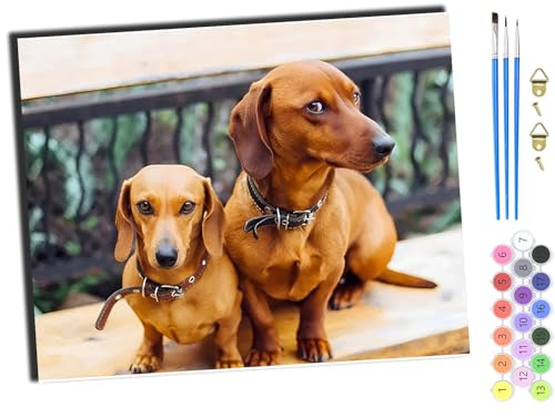 WANGXIAO Malen nach Zahlen Erwachsene,happy Painting Kits,Bastelset Leinwand Pinsel,Handgemalt Ölgemälde Kinder 40x50cm,Tier Hund süß,mit Rahmen von WANGXIAO