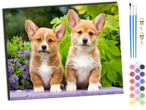 WANGXIAO Malen nach Zahlen Erwachsene,happy Painting Kits,Bastelset Leinwand Pinsel,Handgemalt Ölgemälde Kinder 40x50cm,Tier Hund und Blumen,mit Rahmen WANGXIAO Malen nach Zahlen Erwachsene,happy Painting Kits,Bastelset Leinwand Pinsel,Handgemalt Ölgemälde Kinder 40x50cm,Tier Hund und Blumen,mit Rahmen von WANGXIAO