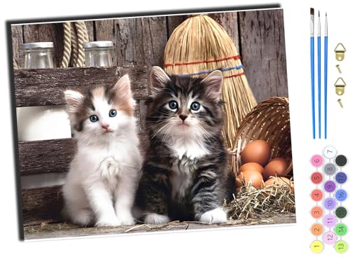 WANGXIAO malen nach zahlen erwachsene,DIY Handgemalt Ölgemälde Kit,Groß Diy ölgemäLde Kit für Anfänger,Knitterfreie Leinwand,40x50cm，Tier Katze süß,mit Rahmen von WANGXIAO