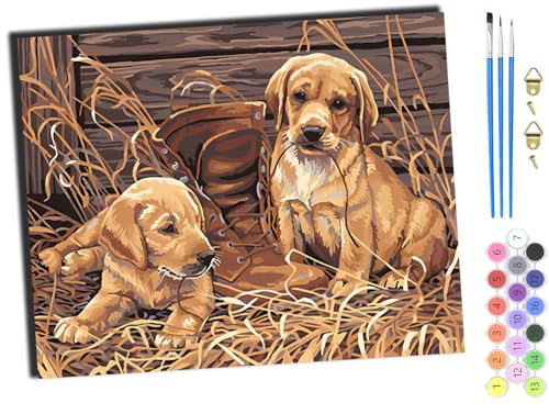 WANGXIAO malen nach zahlen erwachsene,DIY Handgemalt Ölgemälde Kit,Groß Diy ölgemäLde Kit für Anfänger,Knitterfreie Leinwand,40x50cm，Tiere, Hunde, Haustiere und Schuhe,mit Rahmen von WANGXIAO