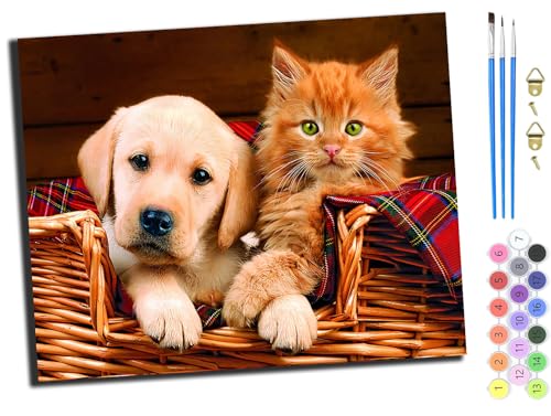 WANGXIAO malen nach zahlen erwachsene,DIY Handgemalt Ölgemälde Kit,Groß Diy ölgemäLde Kit für Anfänger,Knitterfreie Leinwand,40x50cm,Tiere Hund und gelbe Katze,mit Rahmen WANGXIAO malen nach zahlen erwachsene,DIY Handgemalt Ölgemälde Kit,Groß Diy ölgemäLde Kit für Anfänger,Knitterfreie Leinwand,40x50cm,Tiere Hund und gelbe Katze,mit Rahmen von WANGXIAO