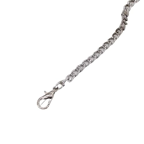 WANGZEYU Taschenkette 20-120cm Handtasche Metallketten Schultertaschengurt DIY Geldbörsenkette Gold Silber Bronze Schwarz Griffe Taschenzubehör Kette Kette FüR Tasche(Silver,120cm) von WANGZEYU