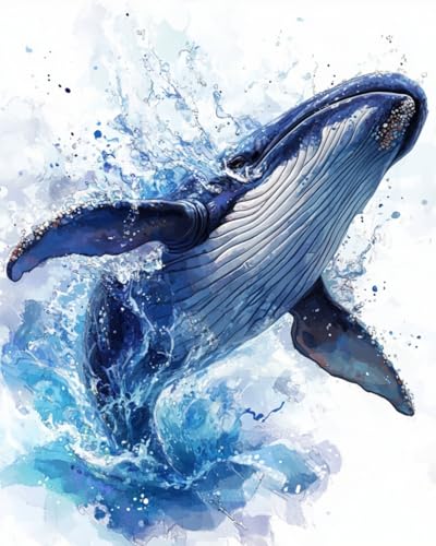 Malen Nach Zahlen Erwachsene Wale springen im blauen Wasser DIY Handgemalt Ölgemälde Leinwand Kits Mit Pinsels und Acrylfarbe Als Geschenke und Heimdekoration Ohne Rahmen 40 x 50 cm Malen Nach Zahlen Erwachsene Wale springen im blauen Wasser DIY Handgemalt Ölgemälde Leinwand Kits Mit Pinsels und Acrylfarbe Als Geschenke und Heimdekoration Ohne Rahmen 40 x 50 cm von WANMIU