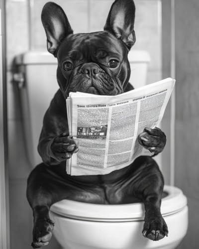 Malen nach Zahlen Französische Bulldogge liest eine Zeitung auf der Toilette Kits für Anfänger Erwachsene DIY Art Decor Handgemalte Malerei nach Zahlen Kreatives Geschenk Home Decoration 16x20 Zoll von WANMIU
