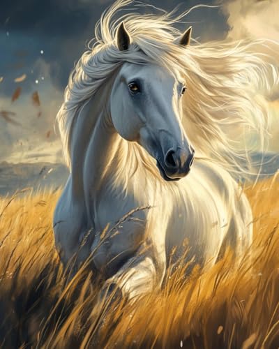 Malen nach Zahlen Weißes Pferd im Gras Kits für Anfänger Erwachsene DIY Art Decor Handgemalte Malerei nach Zahlen Kreatives Geschenk Home Decoration 16x20 Zoll von WANMIU