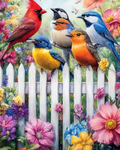 WANMIU Malen Nach Zahlen Erwachsene Fünf Vögel auf dem Zaun Paint by Numbers diy GemäLde Kit mit Pinsel und Acrylfarbe Als Geschenk für Wanddeko Groß 40x50cm von WANMIU