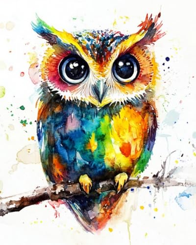 WANMIU Malen Nach Zahlen Erwachsene Regenbogeneule DIY handgemaltes Ölgemälde Set für Anfänger und Erwachsene, Acrylfarbe, Kindergemälde, Kreative Heimdekoration, Geschenk, Weihnachten WANMIU Malen Nach Zahlen Erwachsene Regenbogeneule DIY handgemaltes Ölgemälde Set für Anfänger und Erwachsene, Acrylfarbe, Kindergemälde, Kreative Heimdekoration, Geschenk, Weihnachten von WANMIU