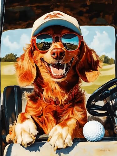 WANMIU Malen nach Zahlen Erwachsene Golf Caddy 2 DIY Malen nach Zahlen Kits auf Leinwand Acrylmalerei mit Pinseln Leinwand Geschenke Kunsthandwerk 40 x 50 cm(rahmenlos) von WANMIU