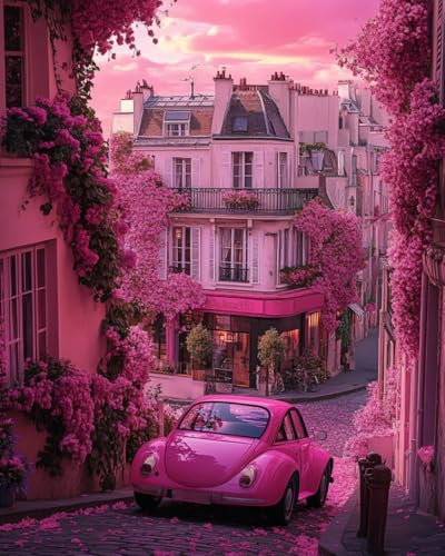 WANMIU Malen nach Zahlen Rosa Auto auf der Straße Kits für Anfänger Erwachsene DIY Art Decor Handgemalte Malerei nach Zahlen Kreatives Geschenk Home Decoration 16x20 Zoll von WANMIU