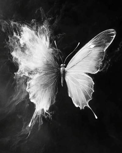 WANMIU Malen nach Zahlen Schwarz-weißer Schmetterling Kits für Anfänger Erwachsene DIY Art Decor Handgemalte Malerei nach Zahlen Kreatives Geschenk Home Decoration 16x20 Zoll von WANMIU