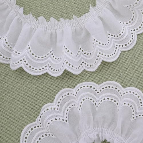 WANYI 10 Yards 6CM Breit Baumwolle Spitzenband Weiß Spitzenborte Vintage Stickere Dekoband Zierband Rüschen Spitzenstoff für Kleidung,Kragen, Sofa(A01) von WANYI