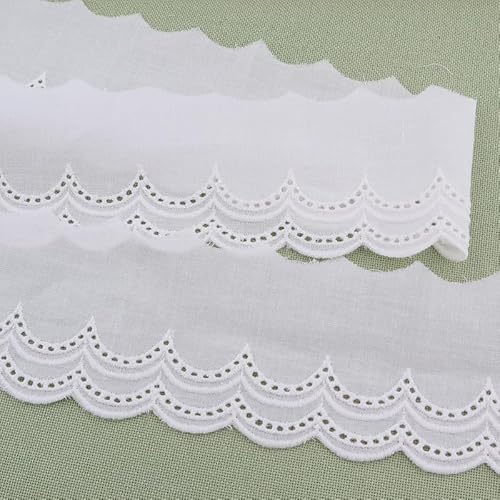 WANYI 10 Yards 6CM Breit Baumwolle Spitzenband Weiß Spitzenborte Vintage Stickere Dekoband Zierband Rüschen Spitzenstoff für Kleidung,Kragen, Sofa(PA01) von WANYI