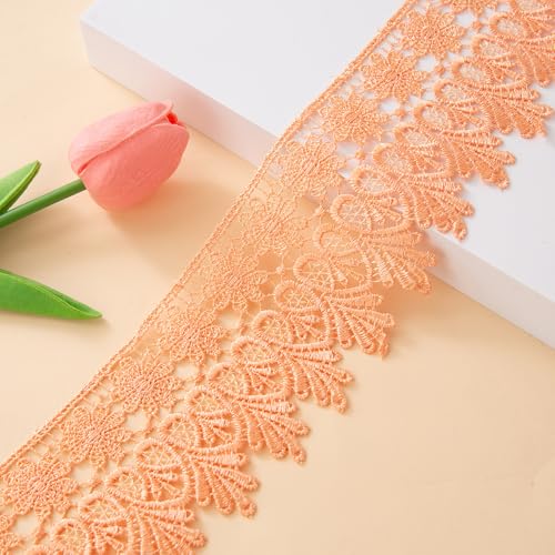 WANYI 5 Yards Spitzenband 8.5CM Breit Spitzenborte Spitzenbordüre Stickerei Blumenmuster Vintage Spitze Bordüre Stoff für Geschenkband DIY-Basteln WANYI 5 Yards Spitzenband 8.5CM Breit Spitzenborte Spitzenbordüre Stickerei Blumenmuster Vintage Spitze Bordüre Stoff für Geschenkband DIY-Basteln von WANYI